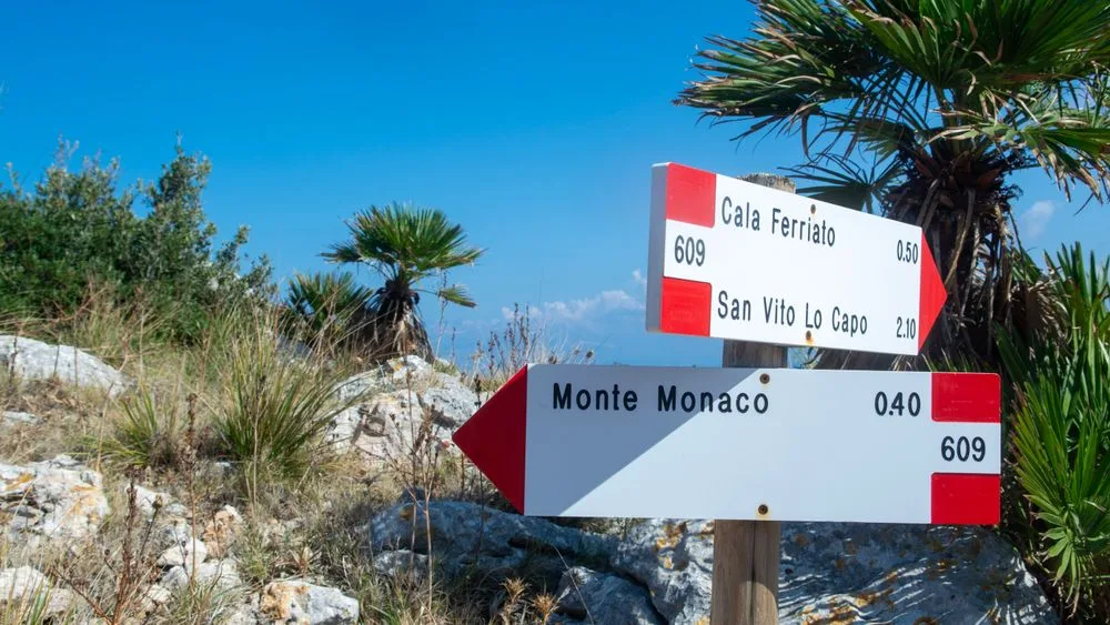 Un poste con señales de sendero que apuntan en direcciones opuestas, entre palmeras y cielo azul