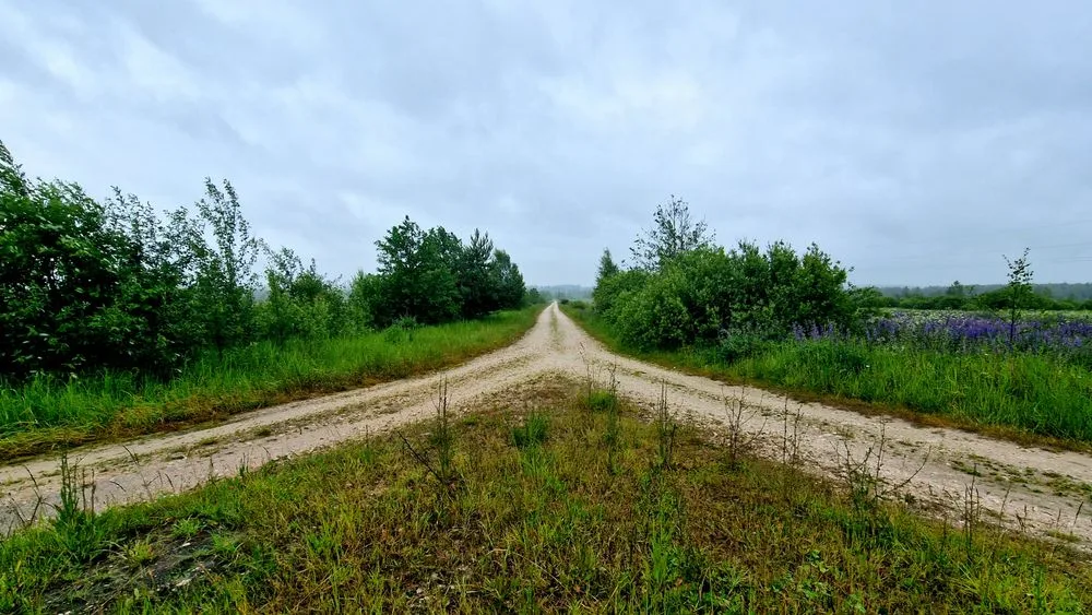 Un cruce de caminos de tierra en medio del campo